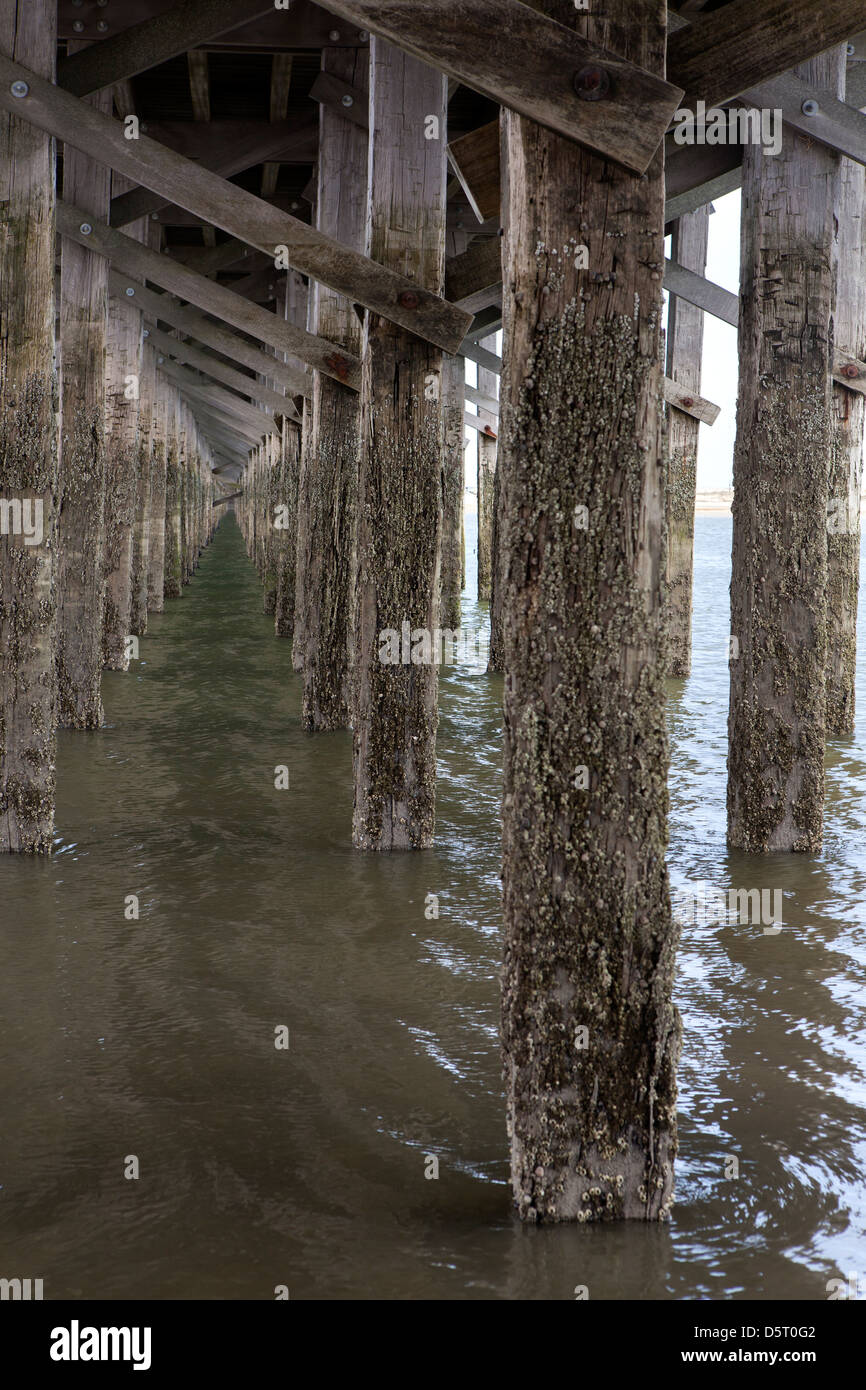 Détails de piliers de bois au point de poudre Duxbury Bridge , Massachusetts, USA Banque D'Images