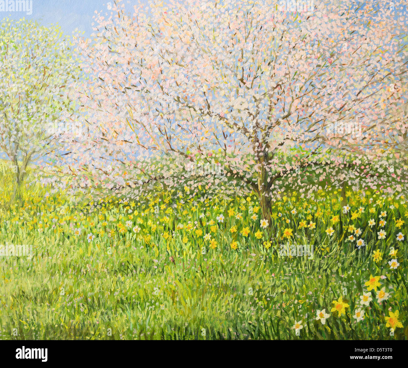 Une peinture à l'huile sur toile d'un paysage naturel de printemps avec des arbres en fleurs et coloré plein de jonquilles prairie. Banque D'Images