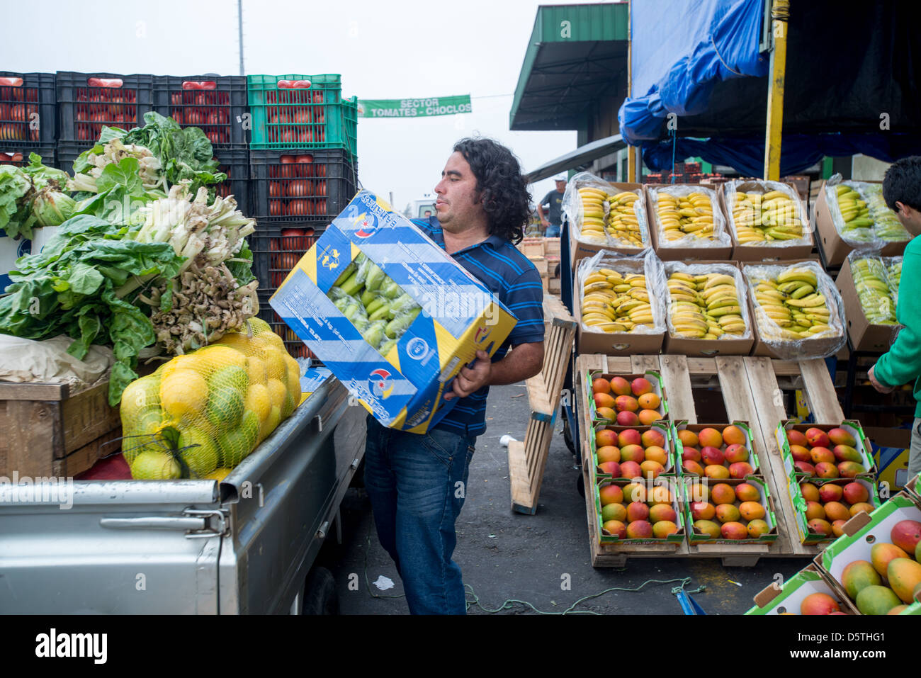 Déménagement travailleur caisses de fruits à Lo Valledor central wholesale marché de fruits et légumes à Santiago, Chili Banque D'Images