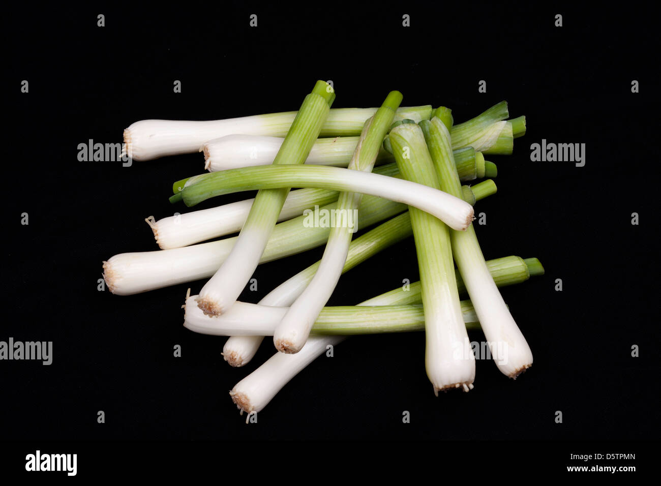 Legume Bebe Poireau En Bonne Sante Banque D Image Et Photos Alamy