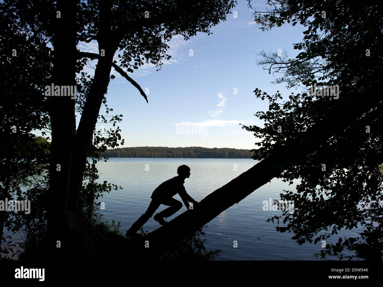 Un garçon grimpe dans un arbre à Werbellin Lake dans la réserve de biosphère Schorfheide-Chorin à côté de Joachimstal, Allemagne, 2 octobre 2012. Schorfheide-Chorin est répertorié comme l'un des plus de 300 réserves de biosphère dans le monde par l'UNESCO en 1990. Avec une surface totale de 1291,61, c'est l'une des plus grandes réserves de l'Allemagne. Situé à environ 100 km au nord de Berlin, le titre protège désormais un paysage qui Banque D'Images