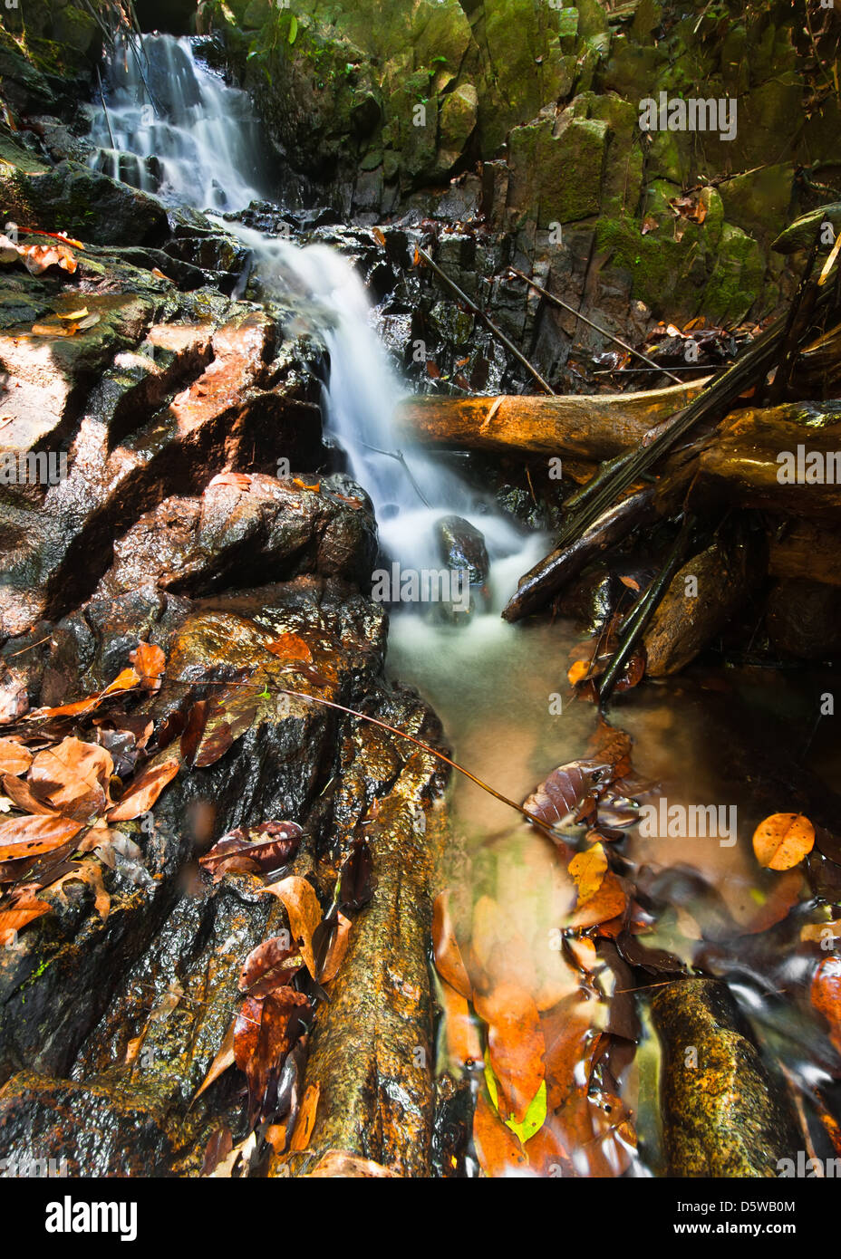 Petite chute d'eau, cachés dans la forêt tropicale. Thaïlande Banque D'Images Petite chute d'eau, cachés dans la forêt tropicale. Thaïlande Banque D'Images
