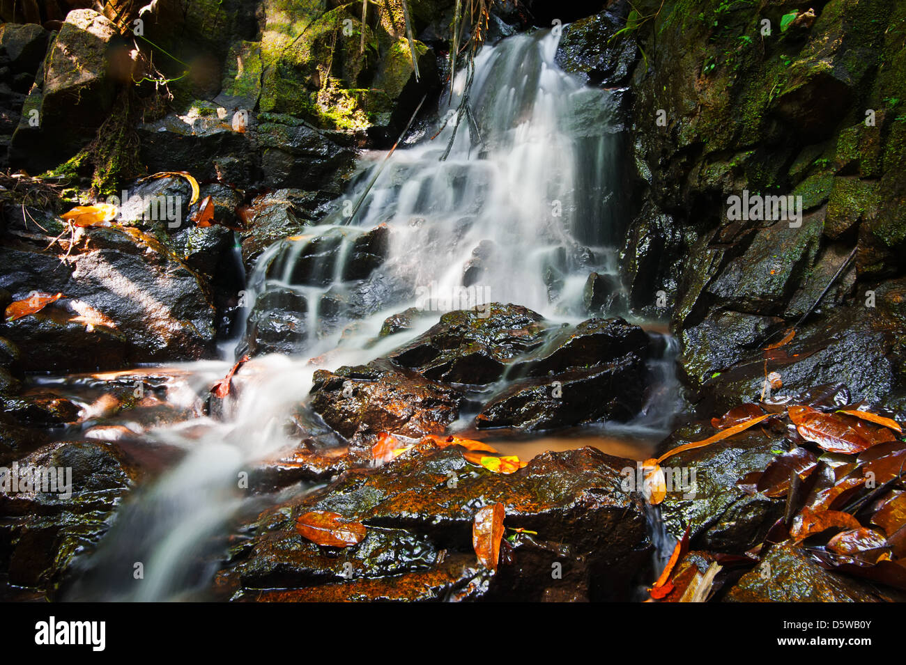 Petite chute d'eau, cachés dans la forêt tropicale. Thaïlande Banque D'Images Petite chute d'eau, cachés dans la forêt tropicale. Thaïlande Banque D'Images