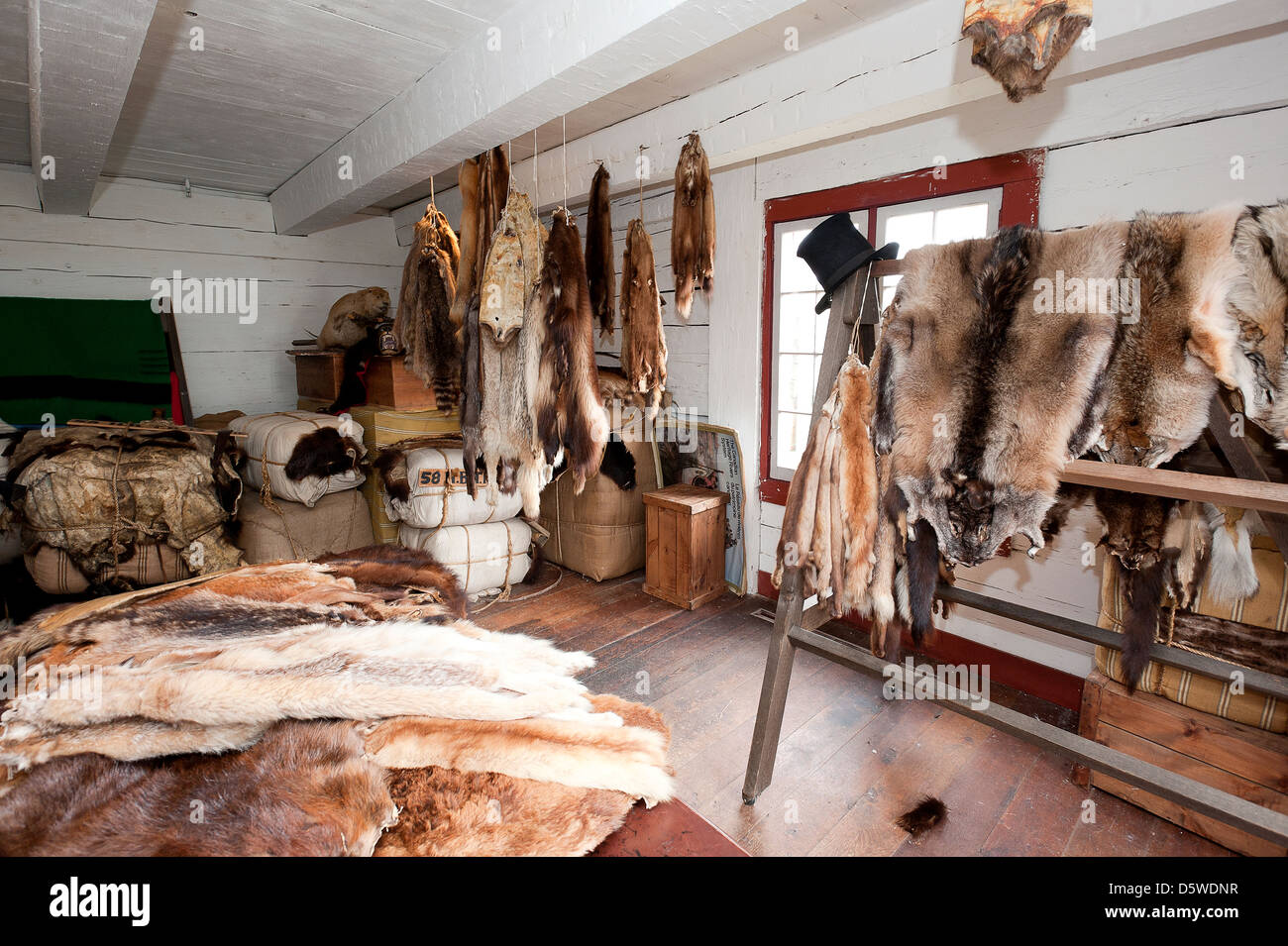 La fourrure des animaux trouvés dans la maison du bâtiment à Fort Langley. Banque D'Images