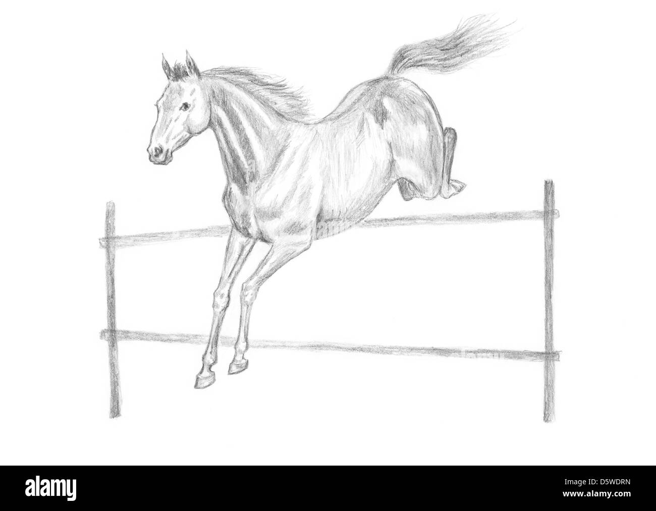 Cheval dessin au crayon, à la main. Banque D'Images