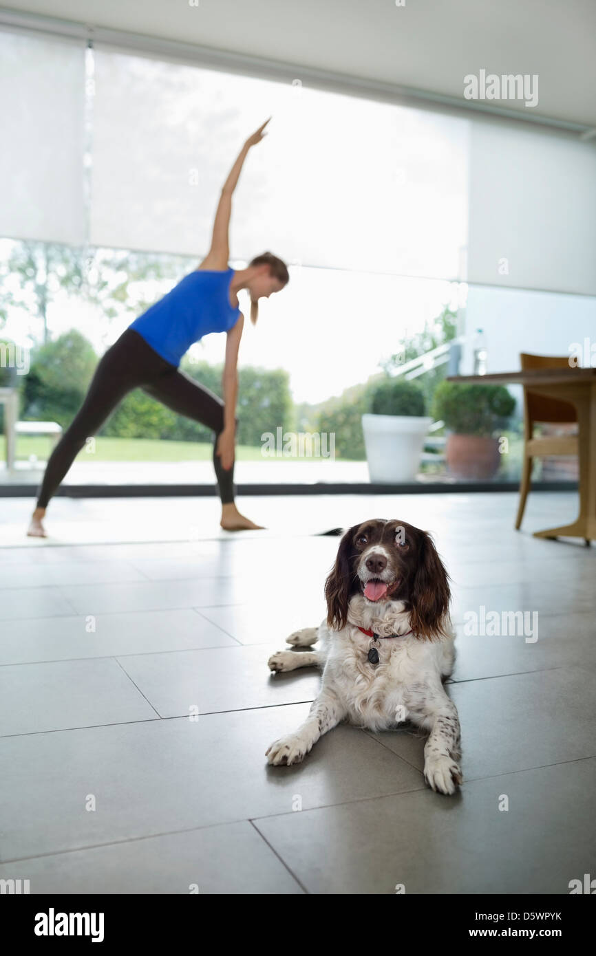 Chien avec woman practicing yoga in living room Banque D'Images