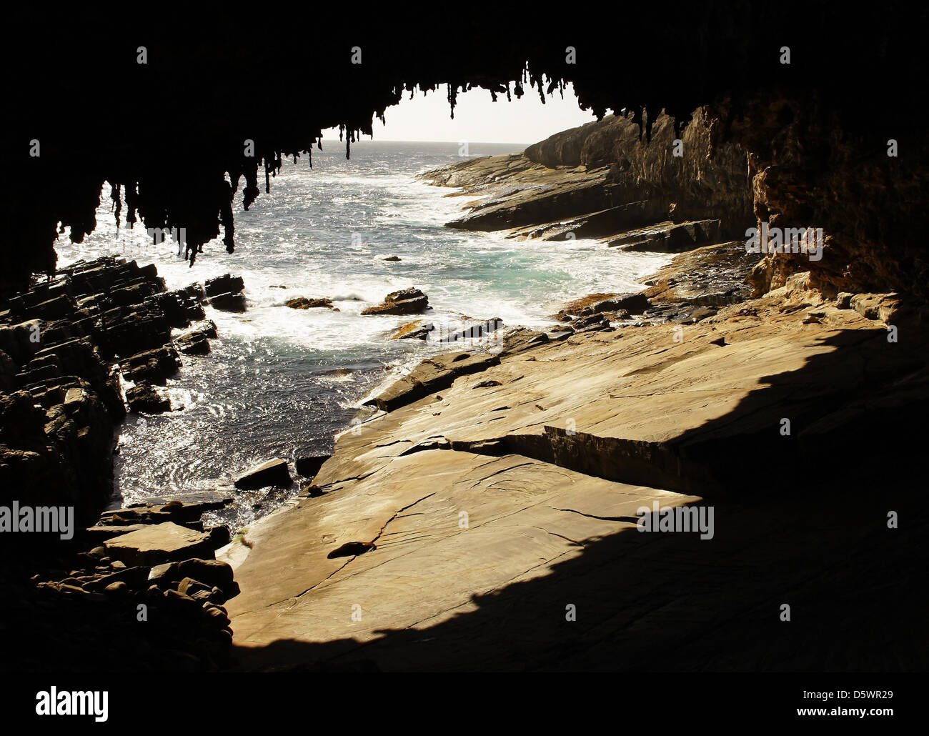 Grotto Admirals Arch, Kangaroo Island, Australie du Sud Banque D'Images
