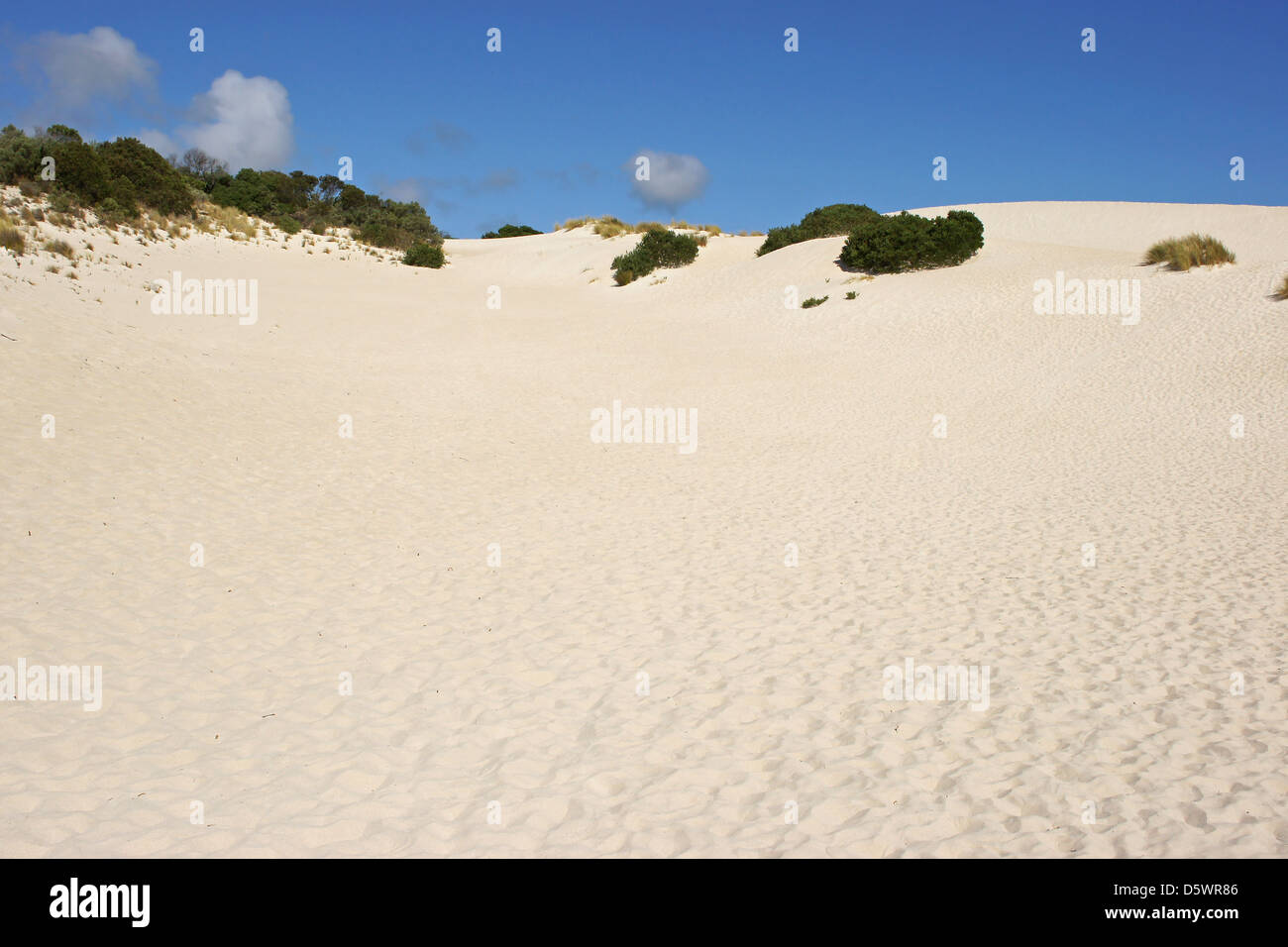 Dunes de Little Sahara, Kangaroo Island, Australie du Sud Banque D'Images