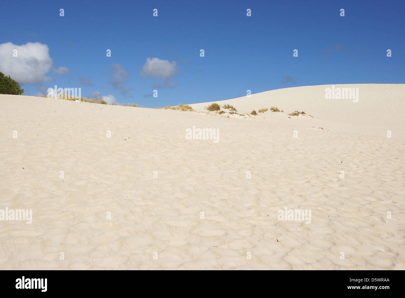 Dunes de Little Sahara, Kangaroo Island, Australie du Sud Banque D'Images