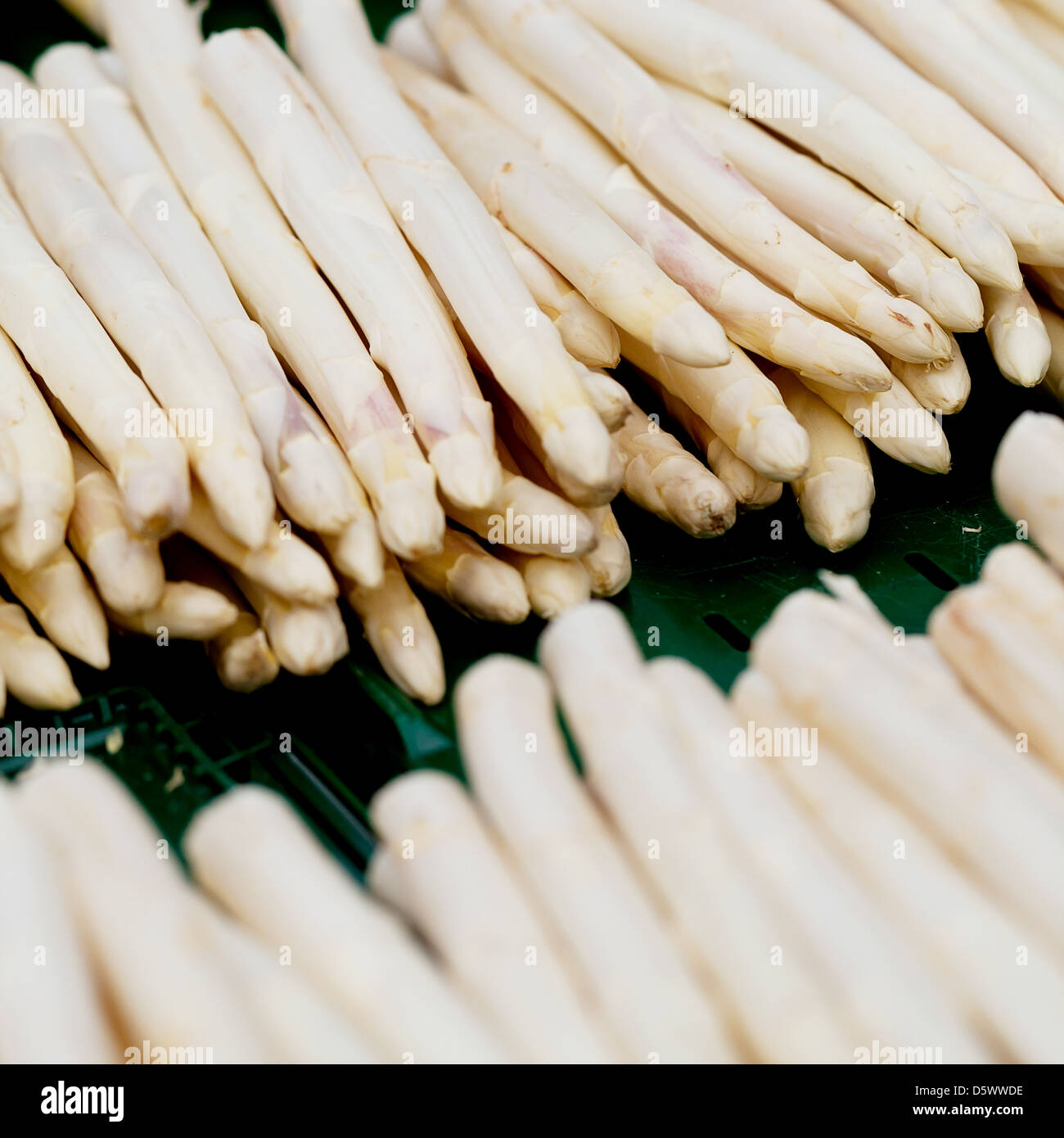 Collection de produits de saison légumes asperges sur market Banque D'Images