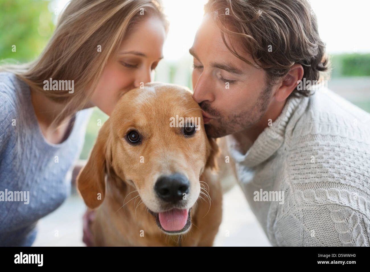 Couple kissing dog indoors Banque D'Images