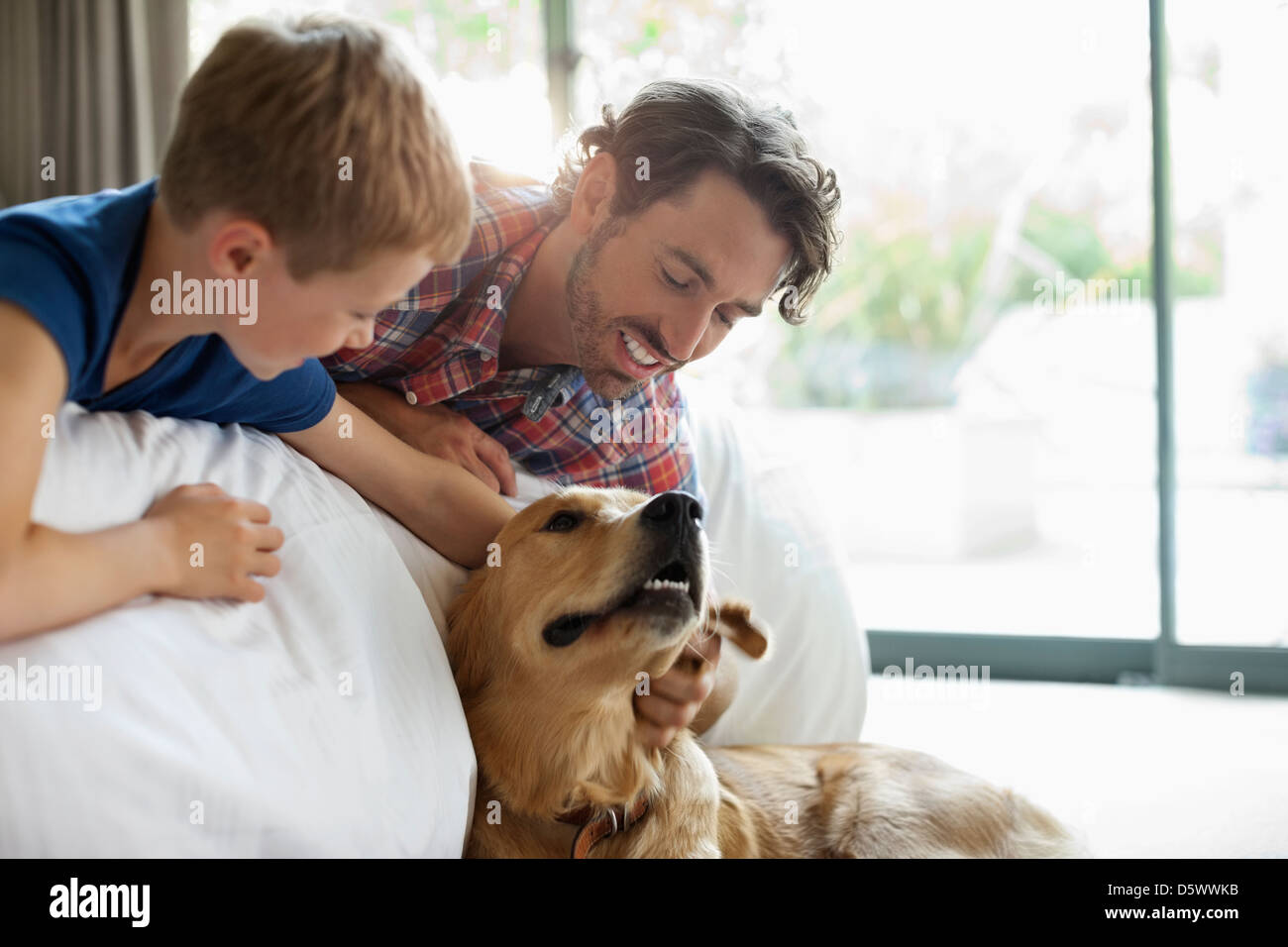 Père et fils petting dog on sofa Banque D'Images