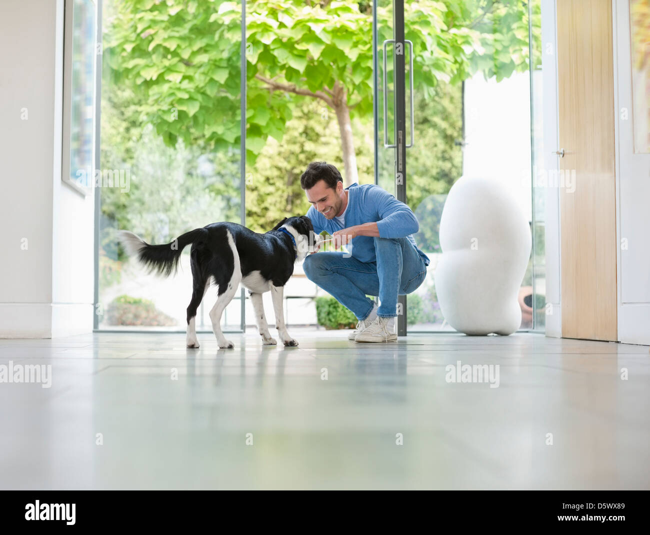 Smiling man petting dog in kitchen Banque D'Images