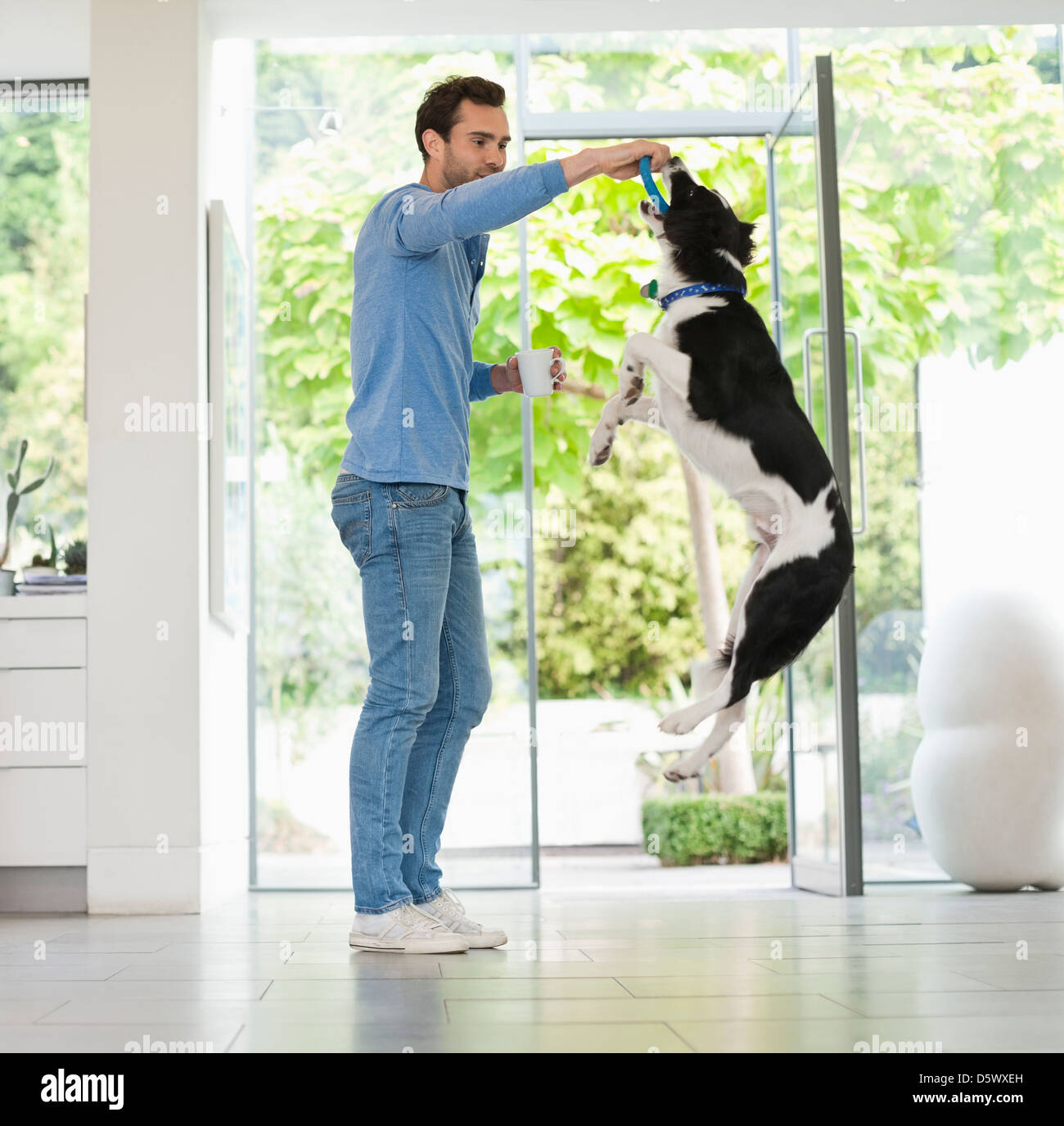 Man jumping chien traiter dans la cuisine Banque D'Images