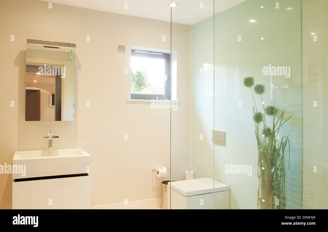 Douche et lavabo dans la salle de bains moderne Banque D'Images