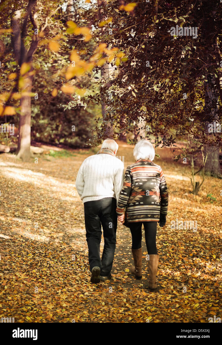 Vieux couple walking in park Banque D'Images