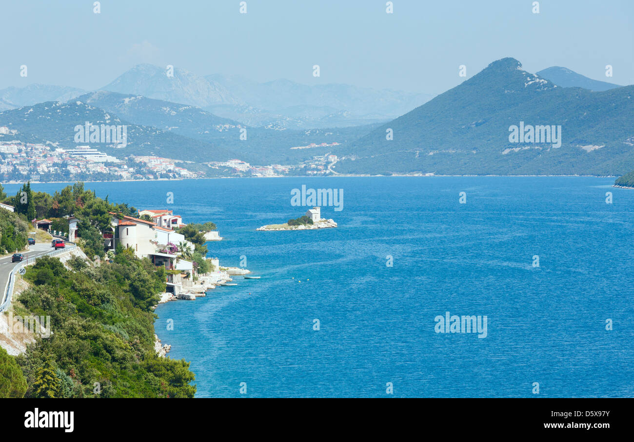 Côte de la mer adriatique d'été avec vue arbre, plante chardon et pierre devant (Croatie) Banque D'Images