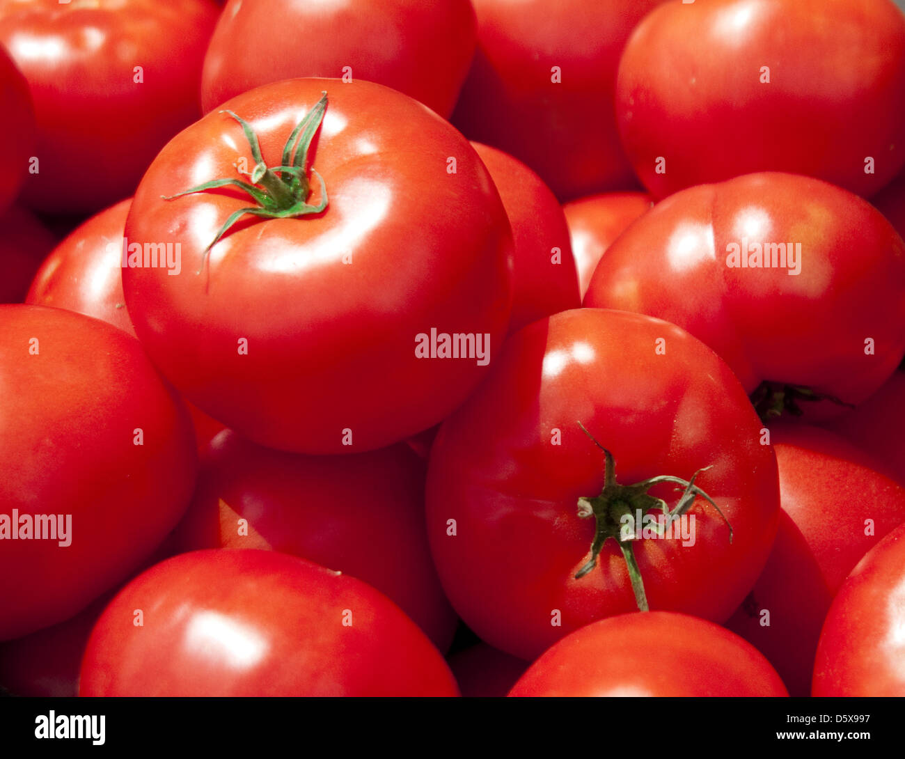 Définir quatre tomates Banque D'Images