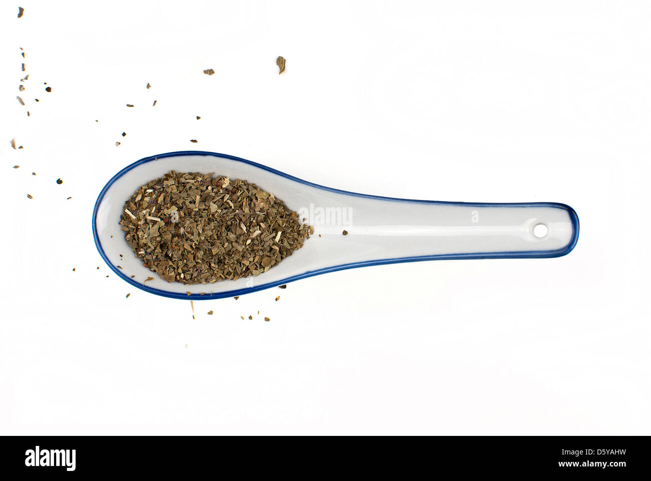 Le basilic Banque D'Images