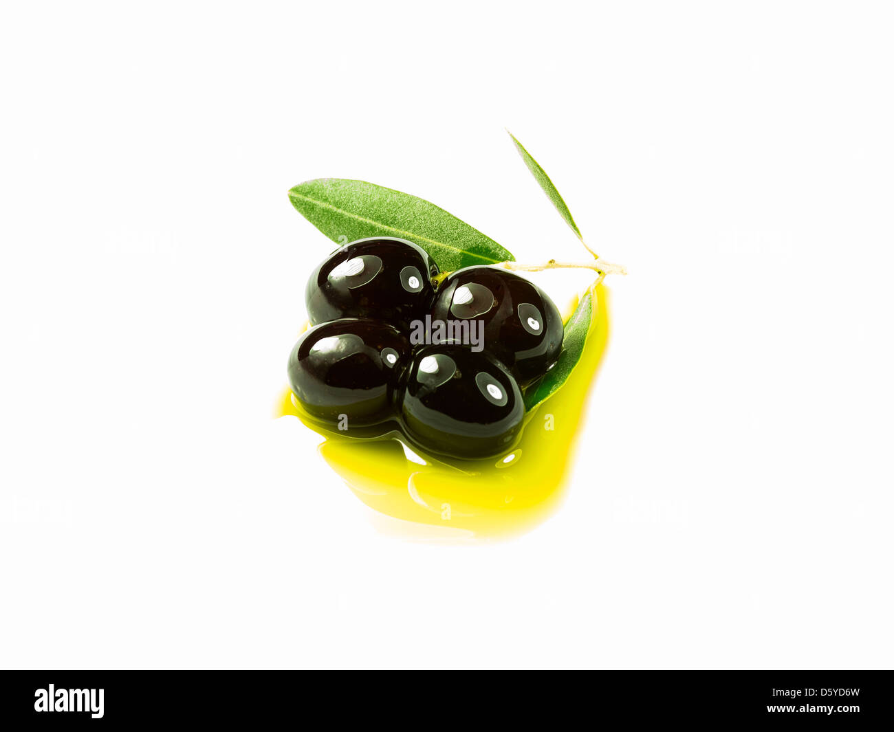 Une branche d'olivier avec trois olives premium sur l'huile d'olive sur un fond blanc. Banque D'Images