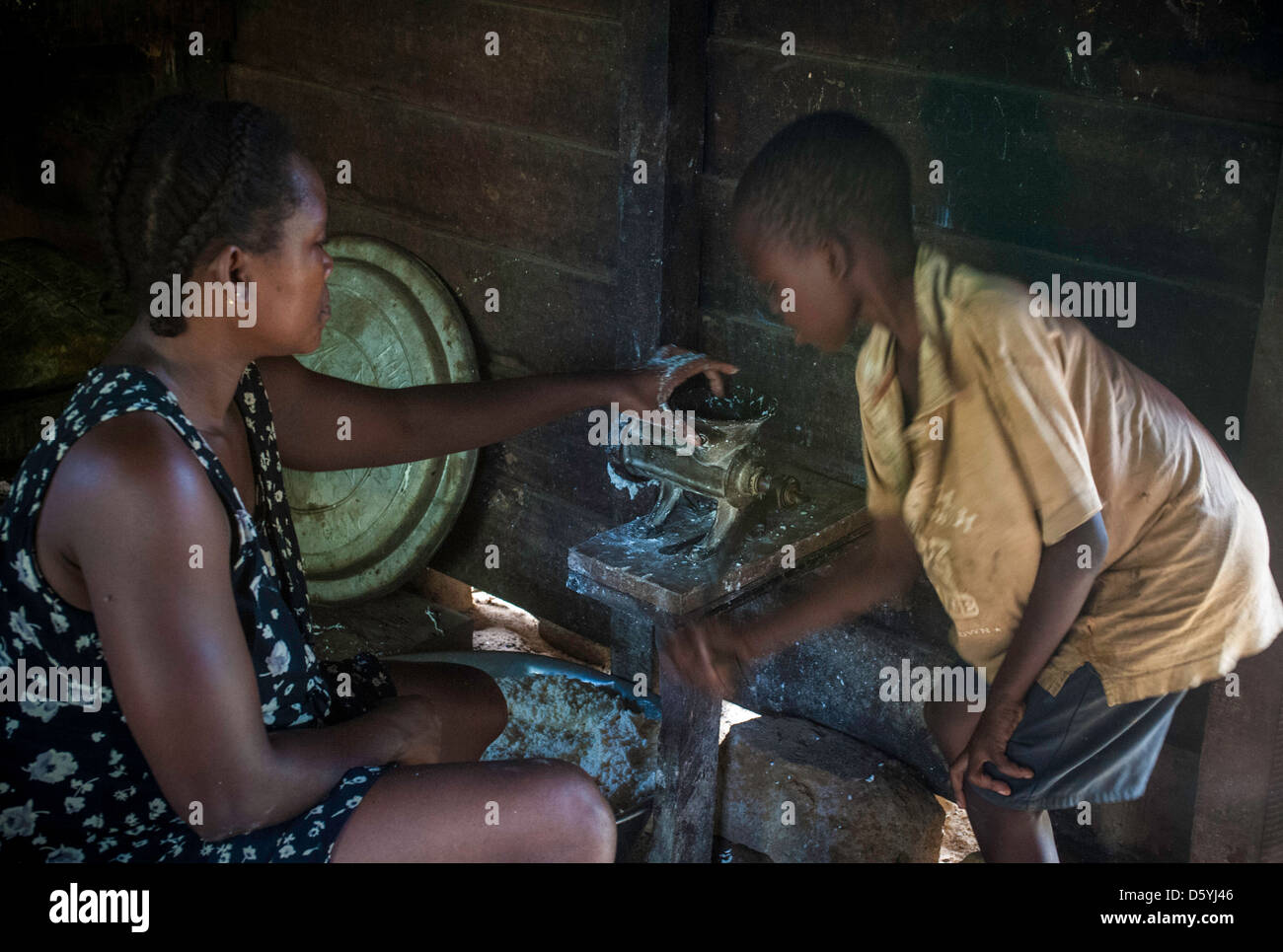 Faire des bâtons de manioc au Cameroun Banque D'Images