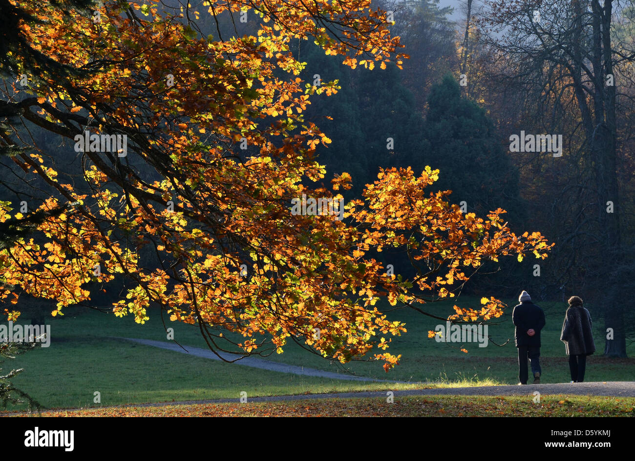Les randonneurs profitez de l'automne les feuilles, à la Le parc Bergpark Wilhelmshöhe à Kassel, Allemagne, 28 octobre 2012. Plus de neige pour la Hesse n'est pas à prévoir dans un proche avenir. Photo : Uwe Zucchi Banque D'Images