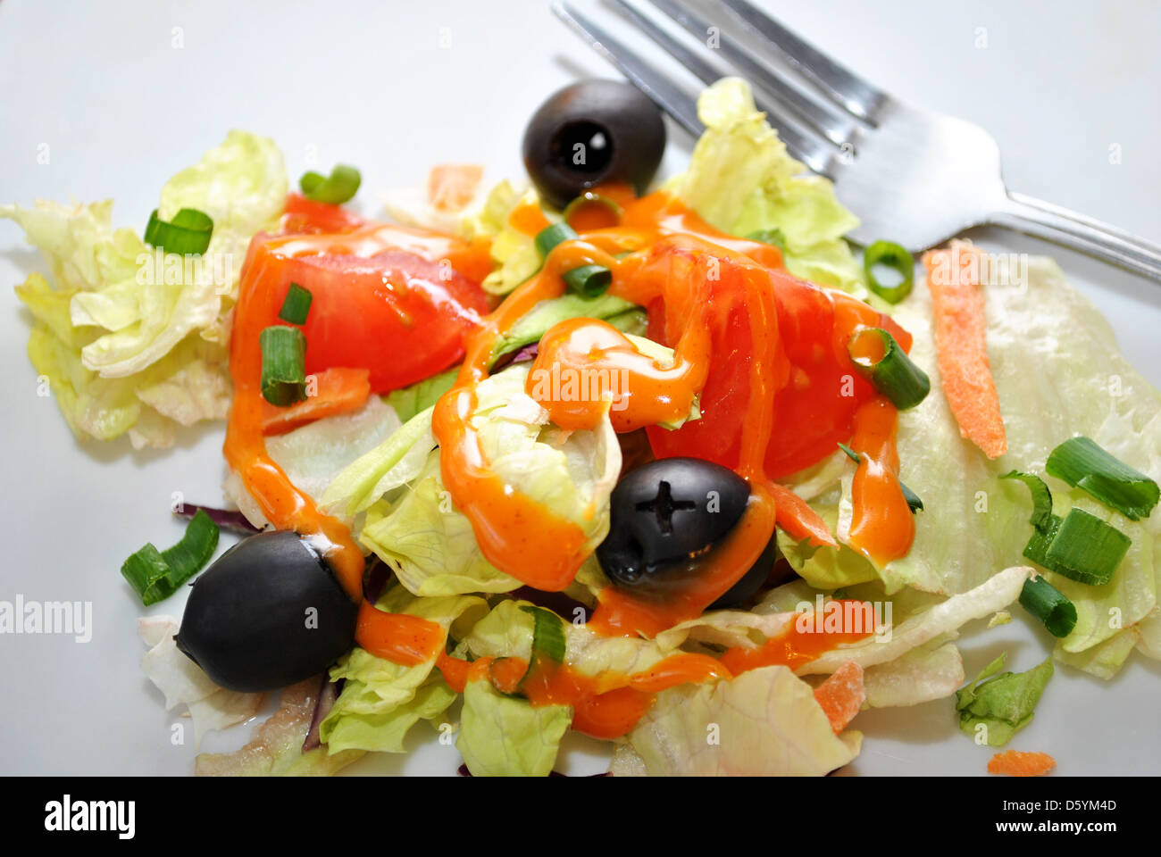 Salade avec vinaigrette française Banque D'Images