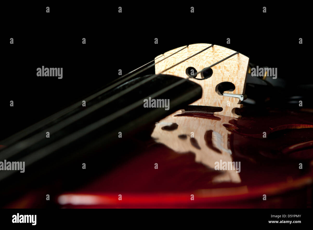 Fragment de violon avec réflexion étrange Banque D'Images