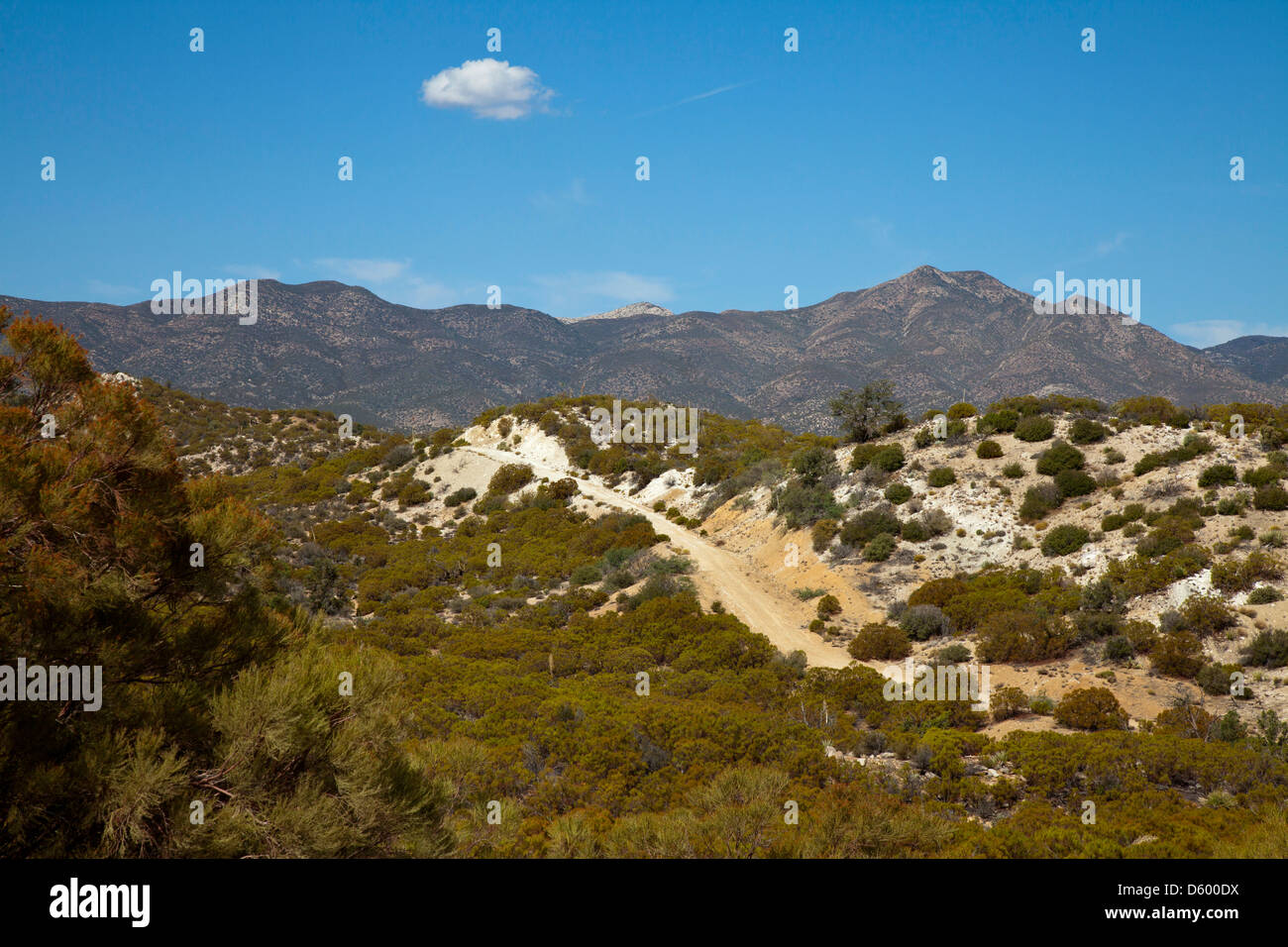 Route de terre avec vue sur fond de montagnes du désert Banque D'Images