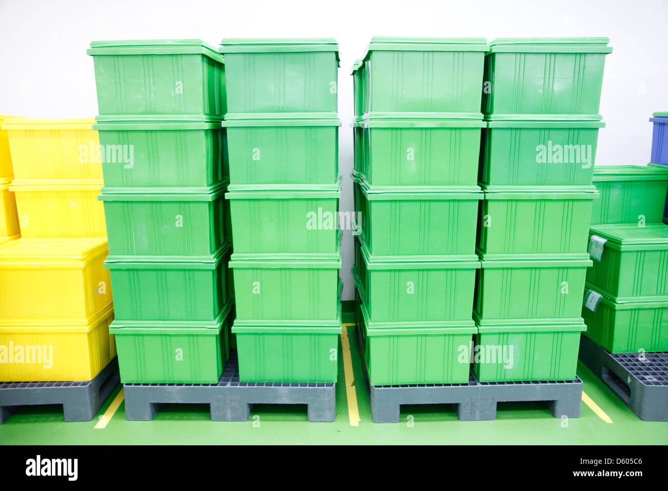 La boîte en plastique vert produits dans une usine industrielle. Banque D'Images