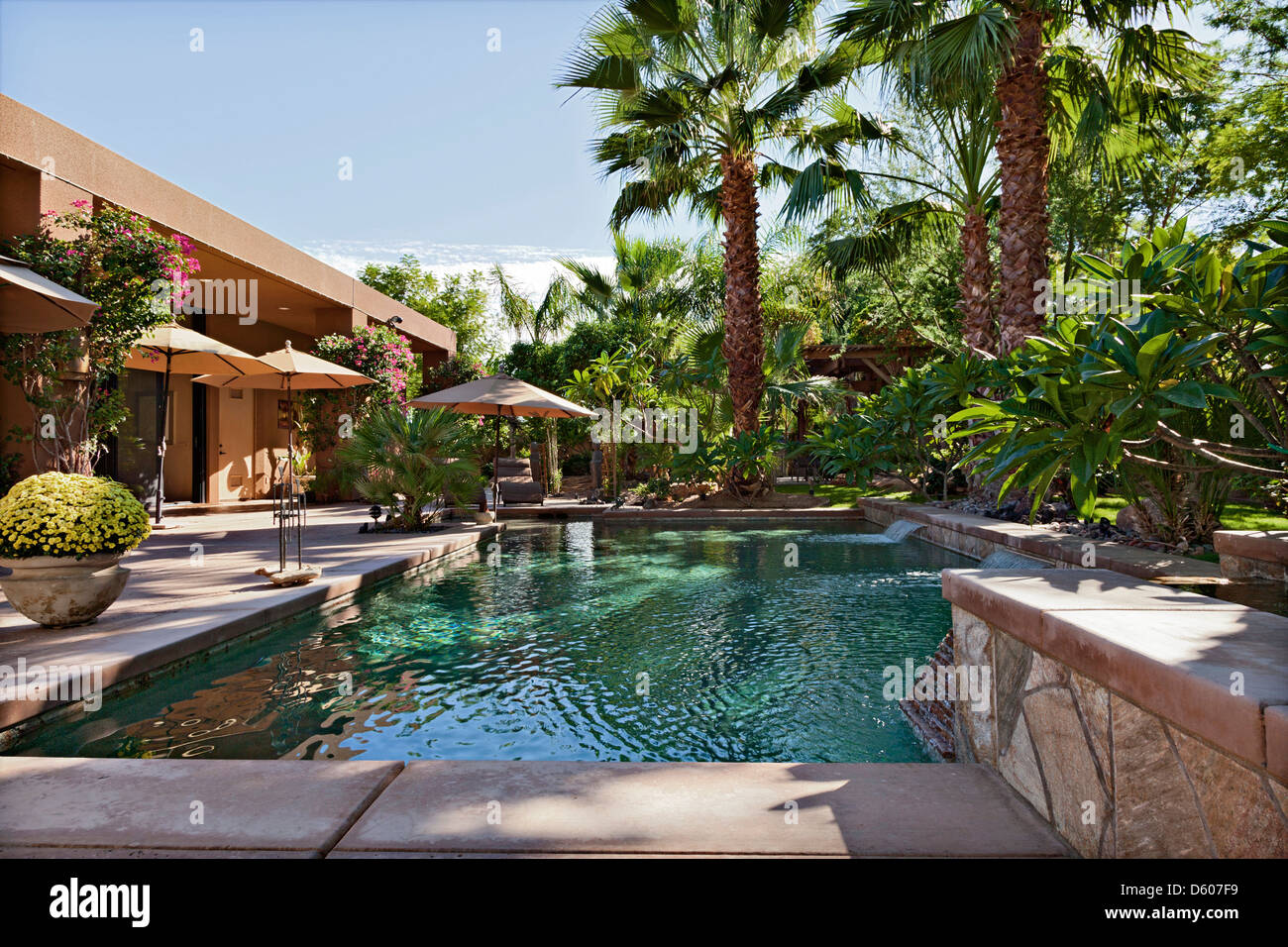 Villa de luxe avec fonction cascade palmiers Banque D'Images