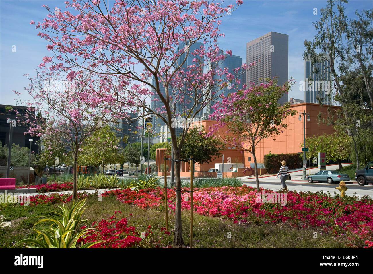 Jardins colorés dans le centre-ville de Los Angeles Banque D'Images