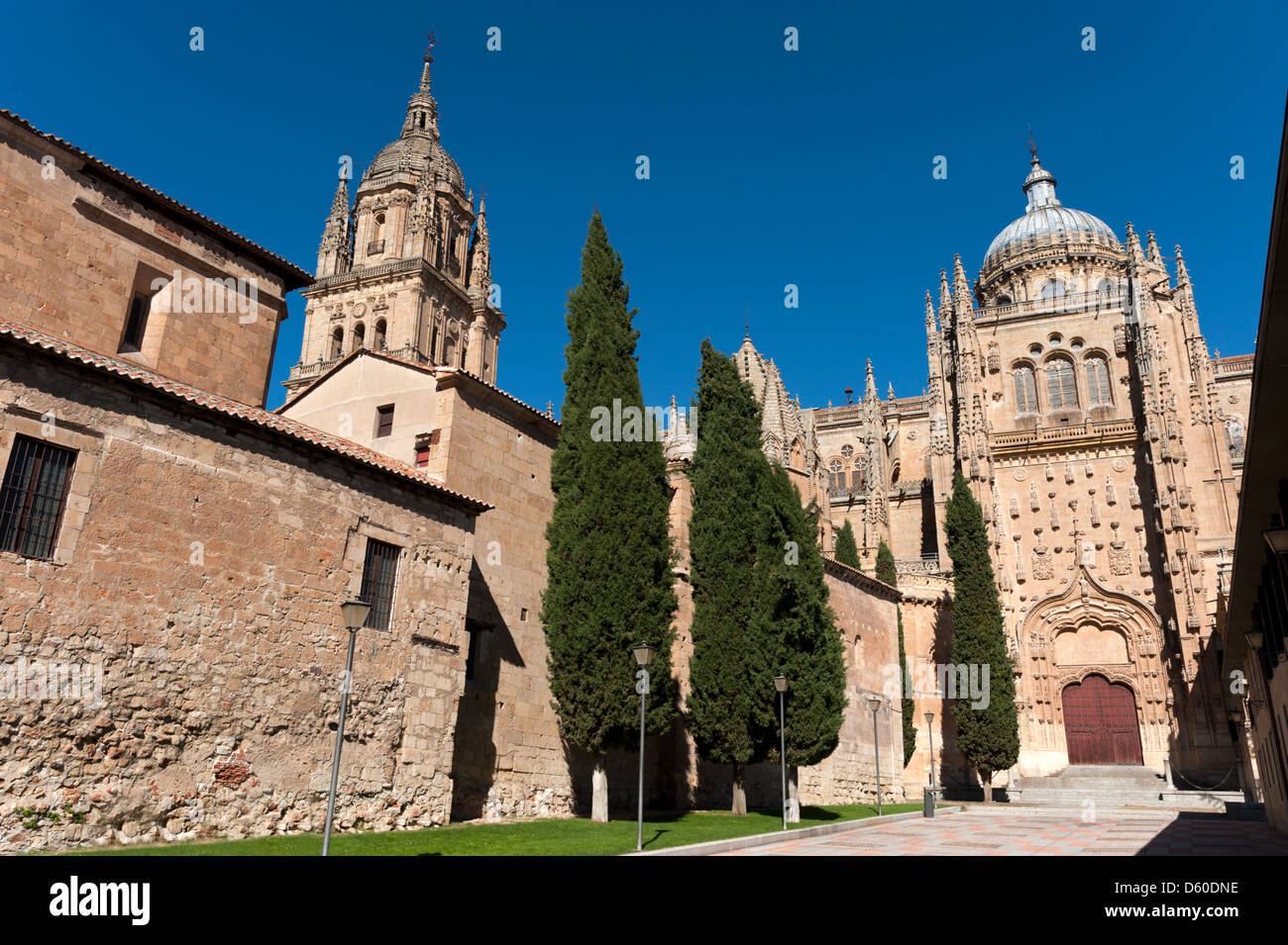La nouvelle cathédrale de Salamanque, Espagne Banque D'Images