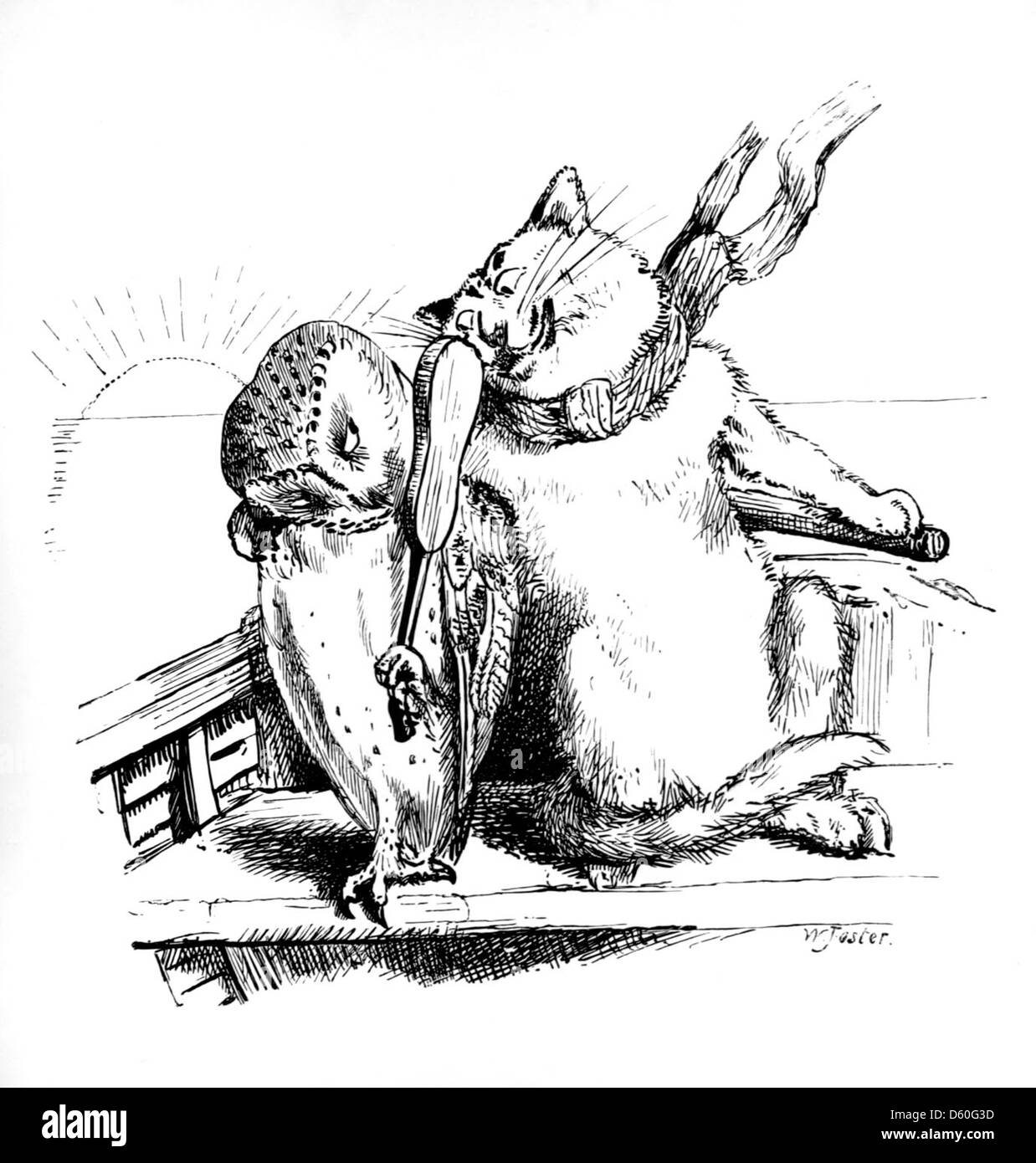 Cette illustration d'Edward Lear tirée de son livre 'Nonsense Drolleries' présente une scène fantaisiste avec un chat et un hibou. Le travail de Lear est connu pour ses dessins amusants et absurdes qui accompagnent sa poésie humoristique. Banque D'Images