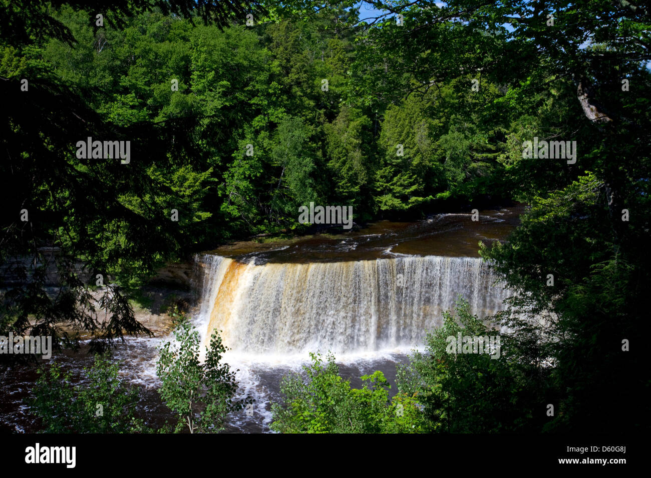 La partie supérieure de Tahquamenon Falls dans l'est de la Péninsule Supérieure du Michigan, USA. Banque D'Images