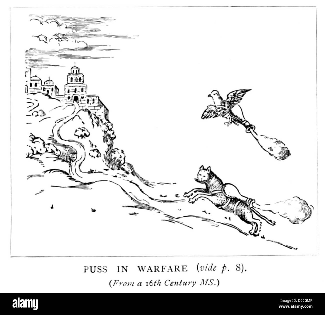 Une illustration de 1903 tirée du livre du chat, montrant une représentation détaillée d'un chat, soulignant sa grâce et son rôle en tant qu'animal de compagnie bien-aimé. Cette image souligne la position du chat dans la culture humaine et son association symbolique avec la domesticité et l’indépendance. Banque D'Images