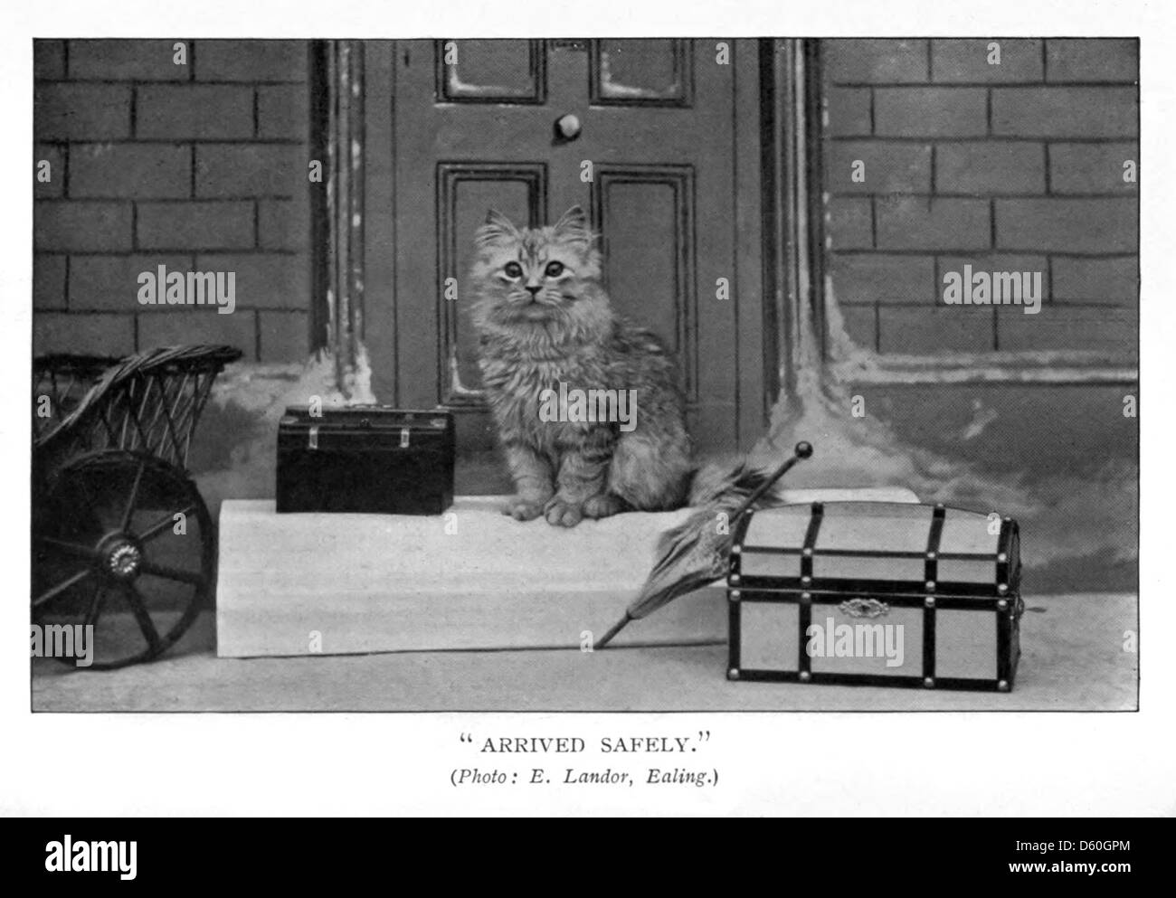 Cette publication de 1903, 'le Livre du chat', explore l'histoire et les soins des chats domestiques. Il comprend des descriptions détaillées des différentes races, ainsi que leurs comportements et rôles en tant qu'animaux de compagnie dans la société. Banque D'Images