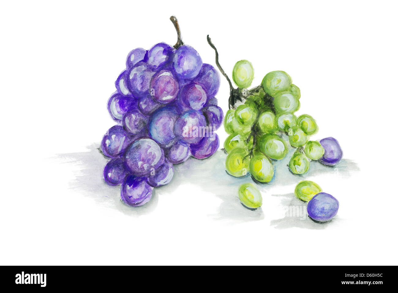 Raisins rouges et verts isolés fruits Banque D'Images