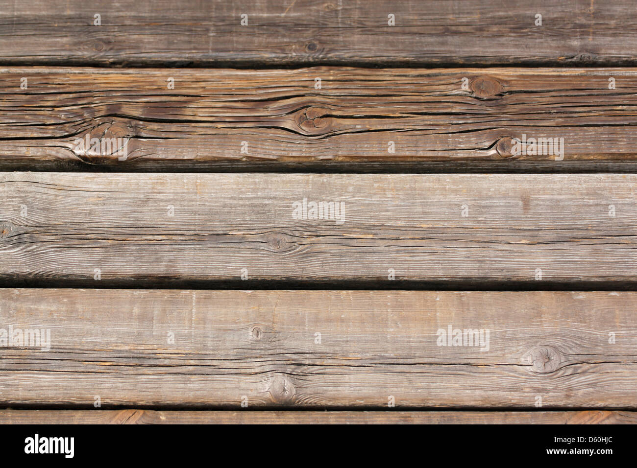 La une forêt centenaire de l'arrière-plan. Banque D'Images