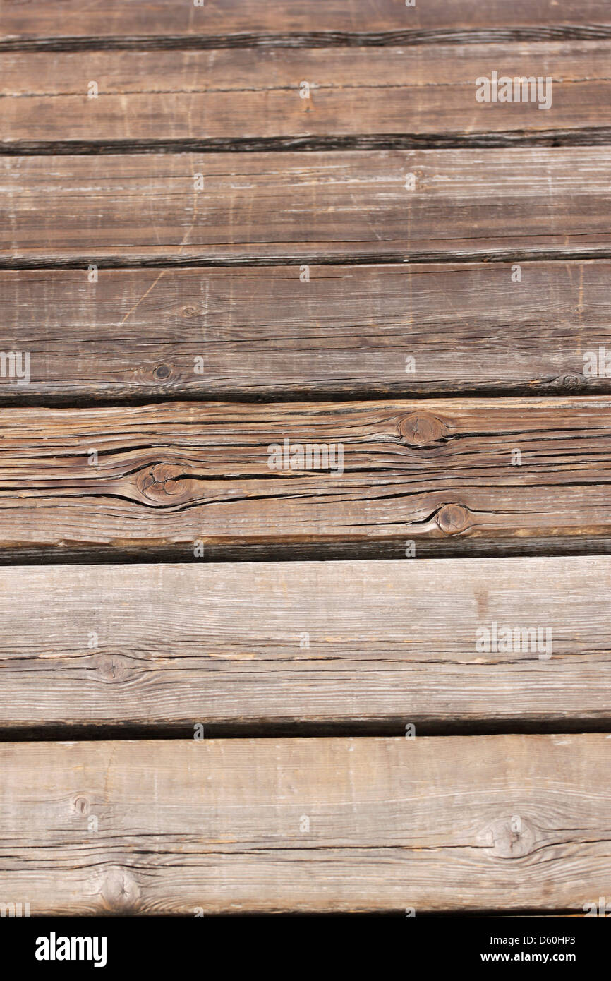 La une forêt centenaire de l'arrière-plan. Banque D'Images