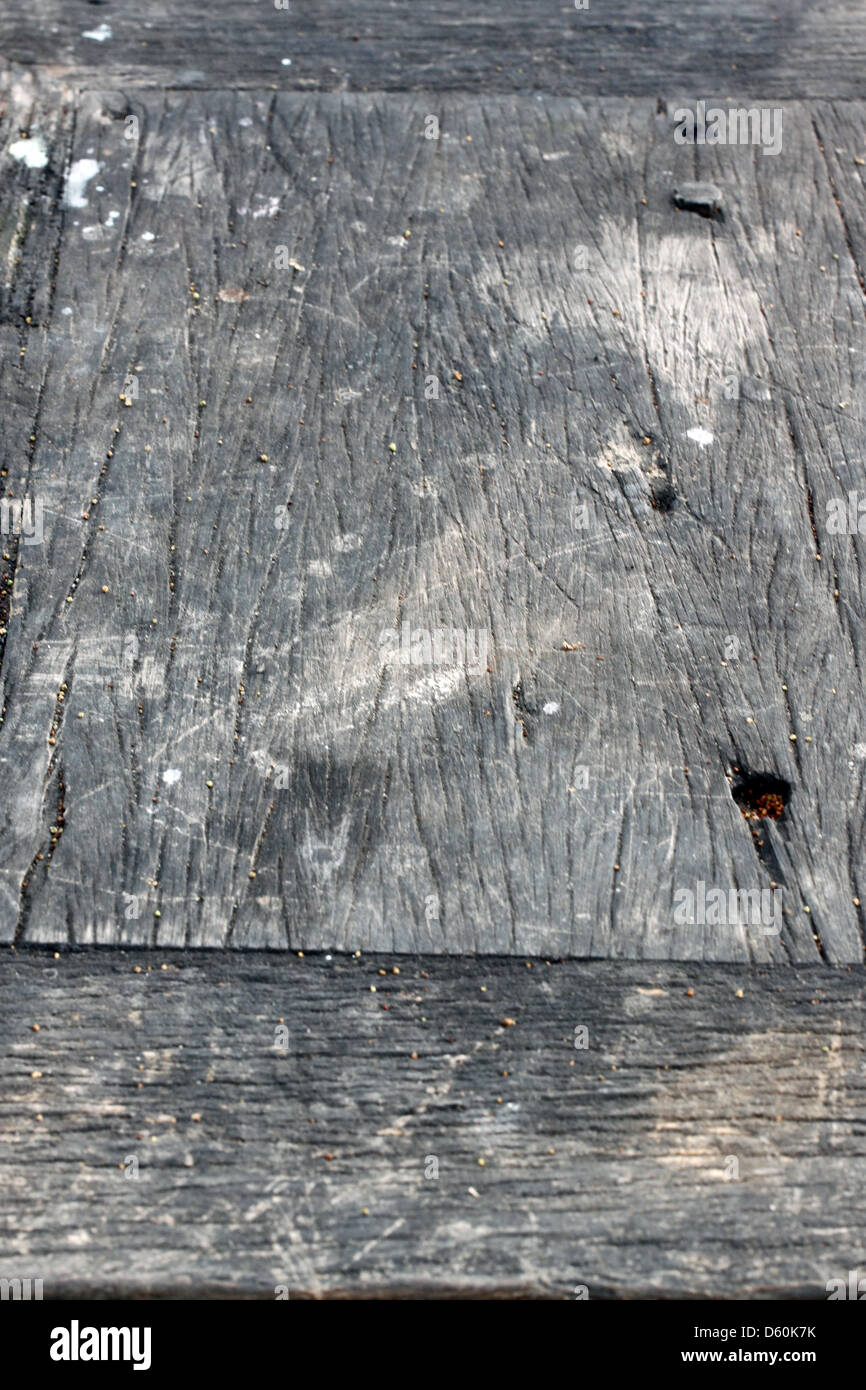 La une forêt centenaire de l'arrière-plan. Banque D'Images