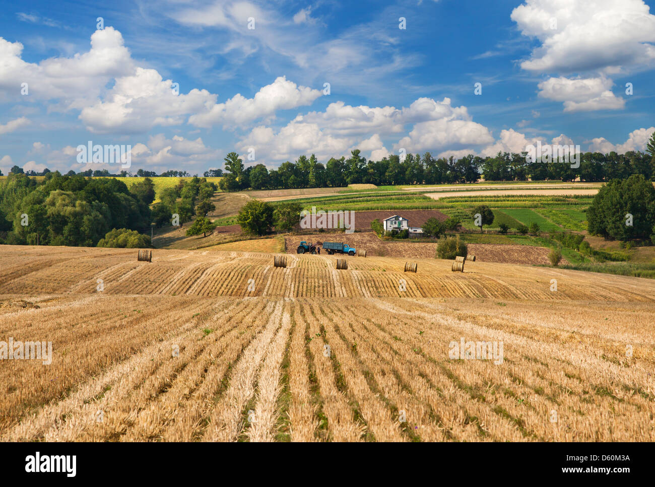 Paysage rural Banque D'Images