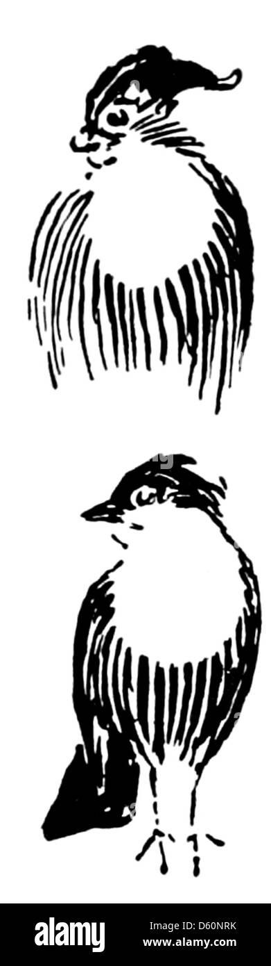 Une illustration de "héros animaux", mettant l'accent sur les oiseaux, soulignant leurs actions héroïques ou leur importance symbolique dans divers contextes, peut-être inspirés par des histoires ou des fables. Banque D'Images