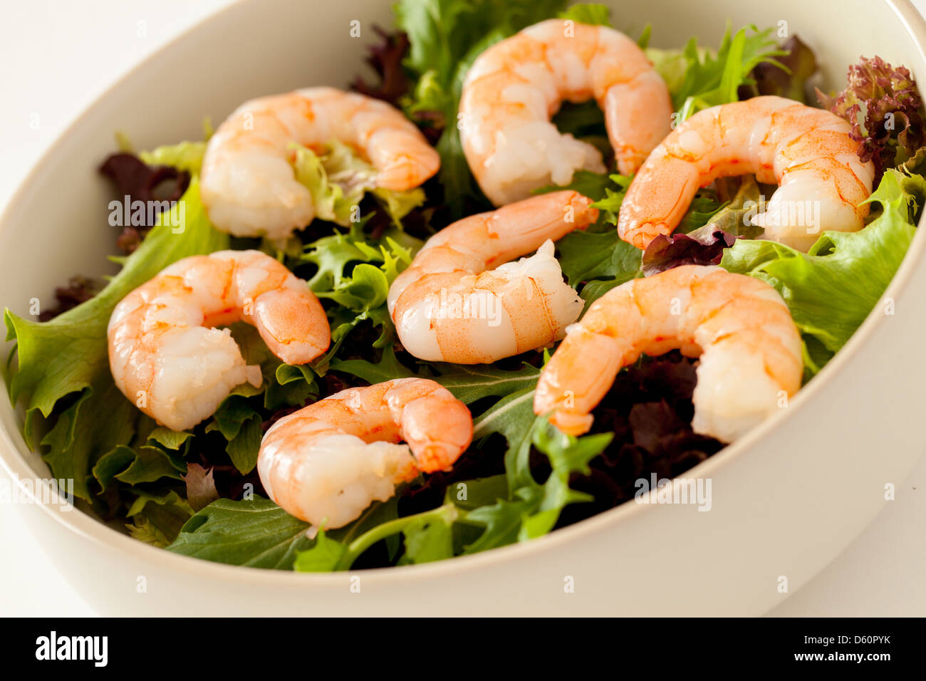 Salade de crevettes Banque D'Images