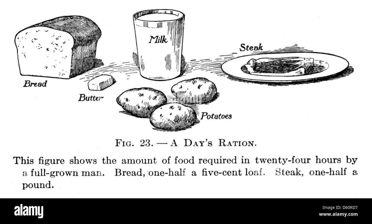 Cette image est probablement une page ou une illustration tirée d'un texte de 1916 sur la physiologie et la santé, traitant spécifiquement de la nutrition, de la planification des repas et des concepts de santé connexes. Banque D'Images