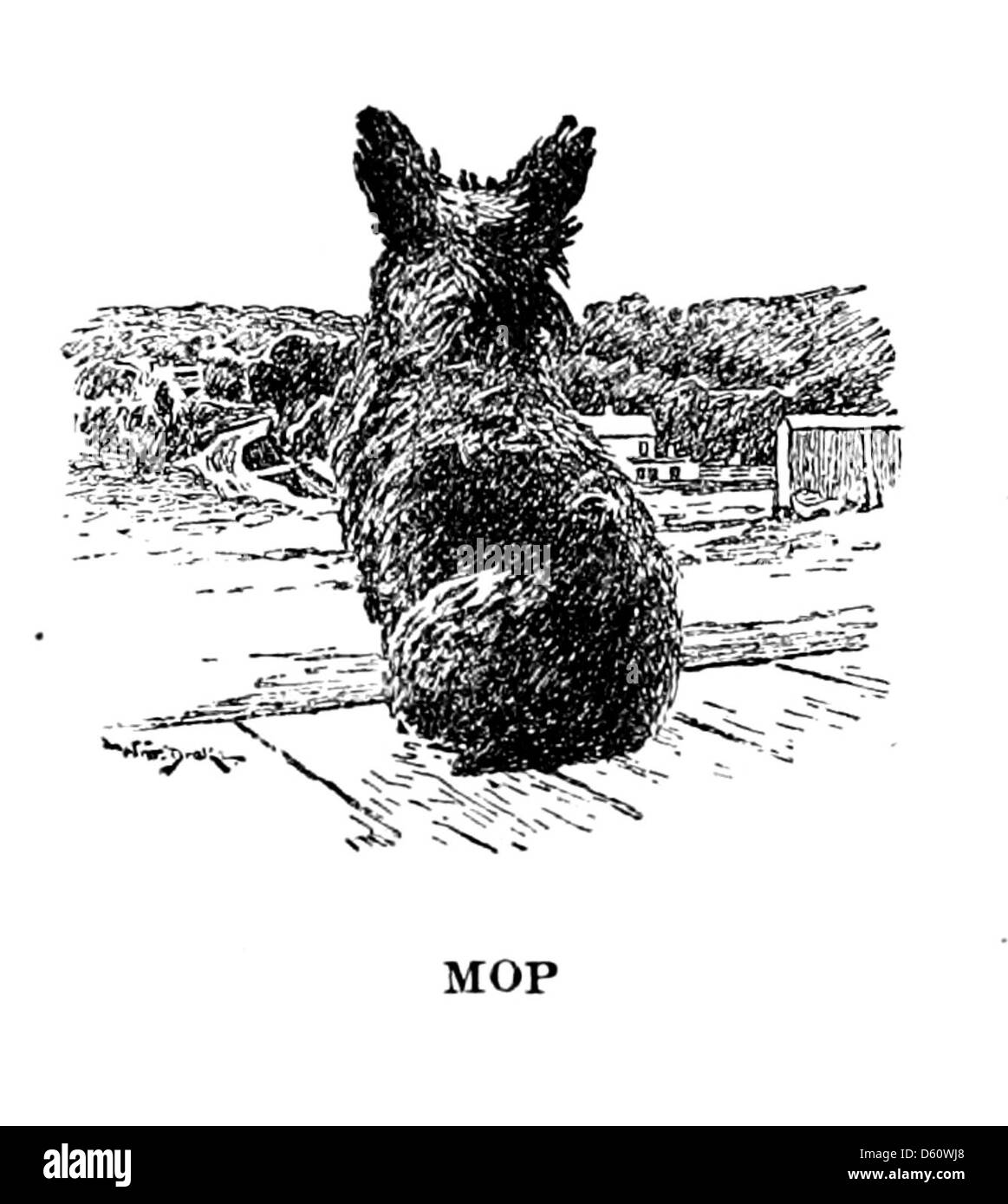 Cette image de 1898 représente un garçon aux côtés de quatre chiens, montrant le lien étroit entre l'enfant et ses animaux de compagnie. Il représente la compagnie et la loyauté entre les enfants et les animaux à la fin du XIXe siècle. Banque D'Images