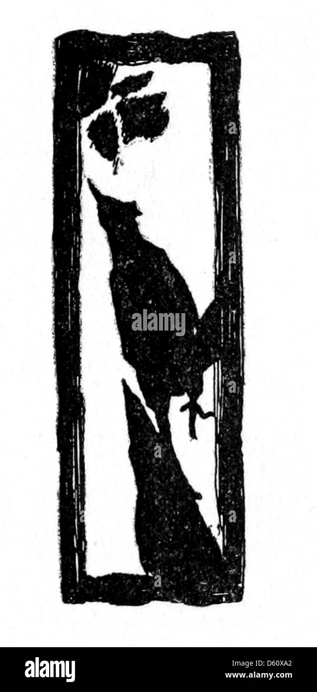 Une image de 1899 capturant la beauté sereine de la Californie, mettant en valeur les paysages pittoresques de l'État et les cadres naturels idylliques. La scène représente des oiseaux dans un environnement tranquille, symbolisant l'ambiance paisible de la campagne californienne. Banque D'Images