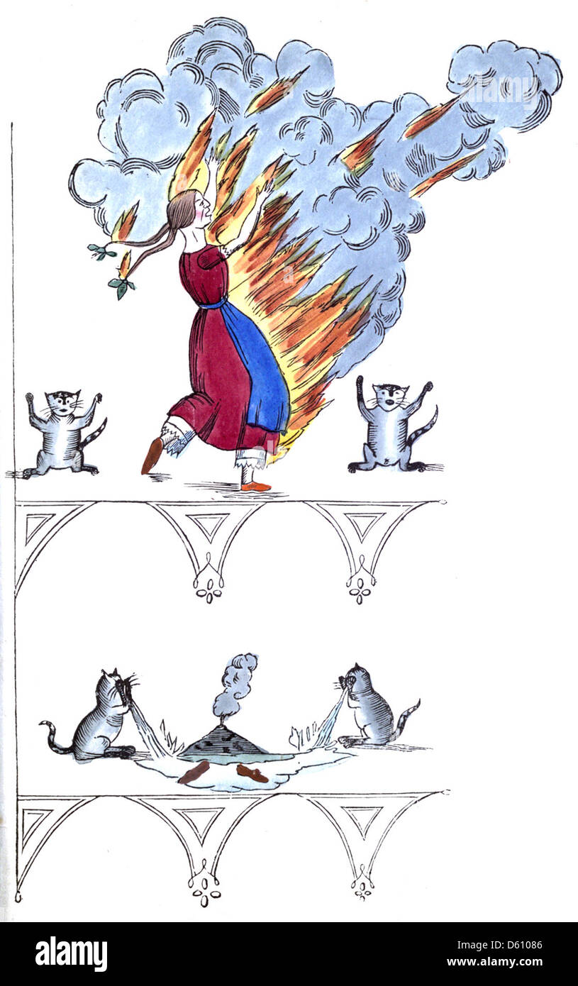 Illustration du milieu du XIXe siècle tirée de « Caw Caw ; or, The Chronicle of Crows », représentant une scène dramatique avec des corbeaux et du feu. L'image capture un moment de chaos et de brûlure symbolique, reflétant peut-être des thèmes de destruction ou de destin dans le récit. Banque D'Images