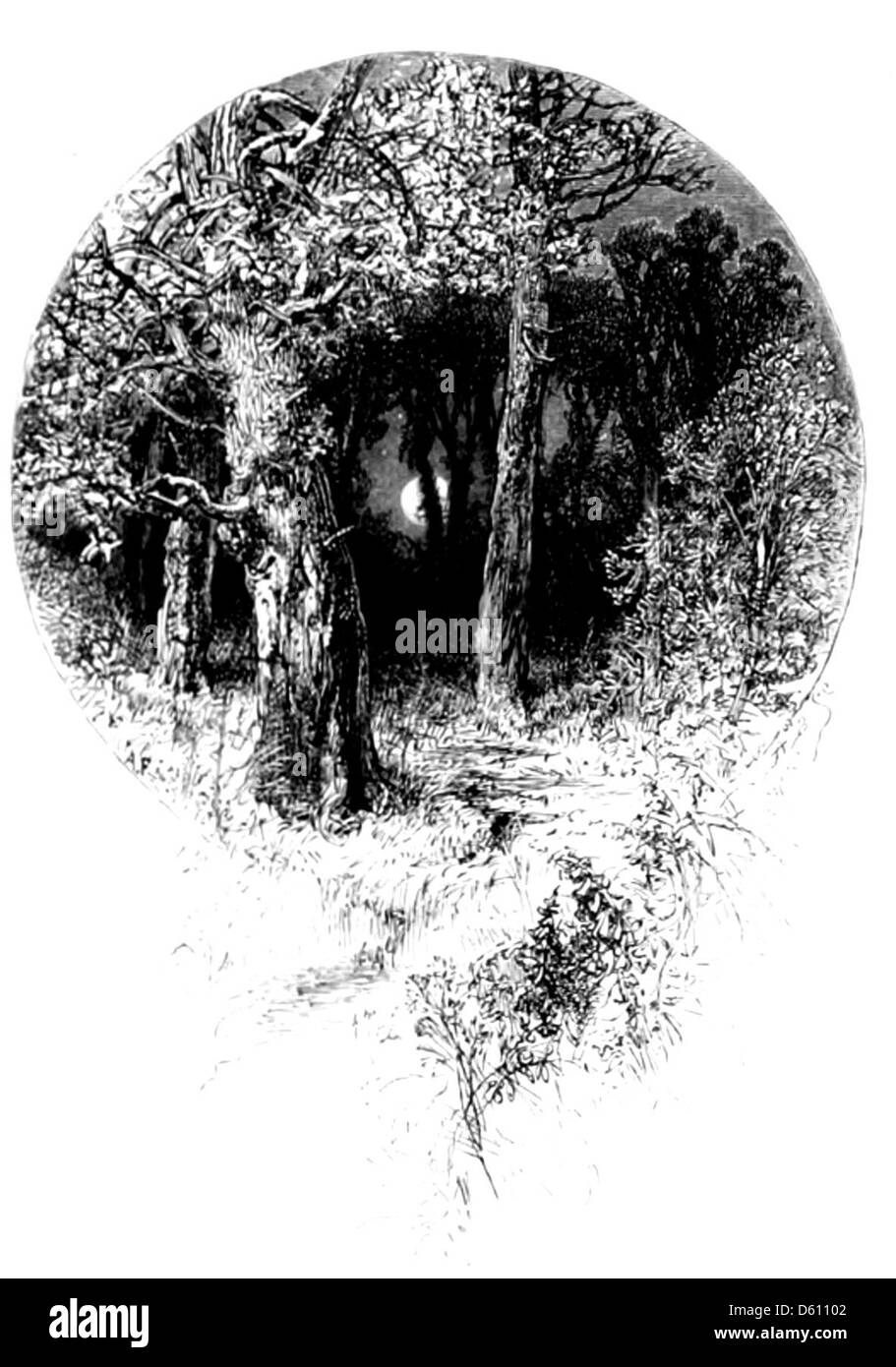 Une illustration de 1874 du « rêve d'Une nuit d'été » de William Shakespeare, représentant des personnages clés et des scènes de la pièce. L'image donne vie aux thèmes enchanteurs de la magie, de l'amour et de la méchanceté. Banque D'Images