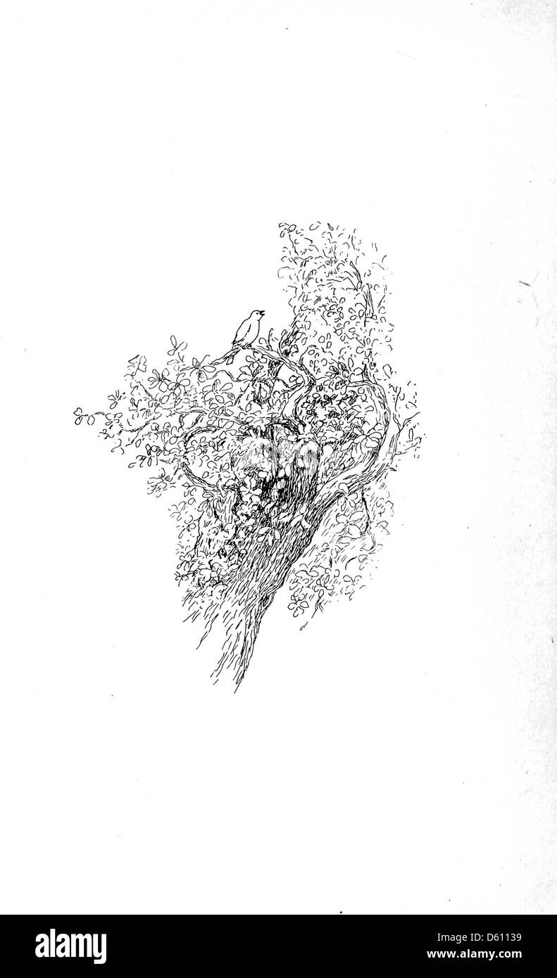 Une illustration tirée de 'A Little Book of Home and Country verse' (1906), montrant une scène rurale ou domestique. L'image évoque un sentiment de simplicité et de nostalgie, capturant l'essence de la vie familiale dans l'Amérique du début du XXe siècle. Banque D'Images